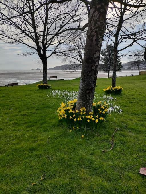 Fishermen'S Cottage With Log Burner, 2 Bathrooms & Sea Views From Garden Terraces The Mumbles Exteriör bild