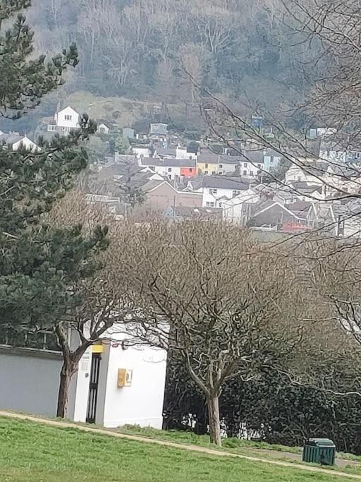 Fishermen'S Cottage With Log Burner, 2 Bathrooms & Sea Views From Garden Terraces The Mumbles Exteriör bild